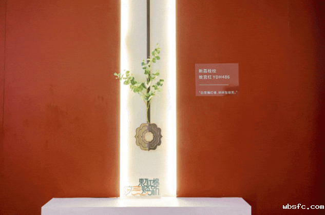 OBsgEq2uCANm6FuPLXui51Y2FXowZXyYRlQZk6A4